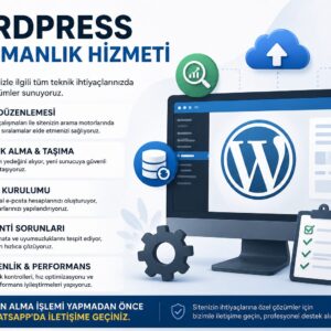 WordPress danışmanlık ve teknik destek hizmetleri infografik